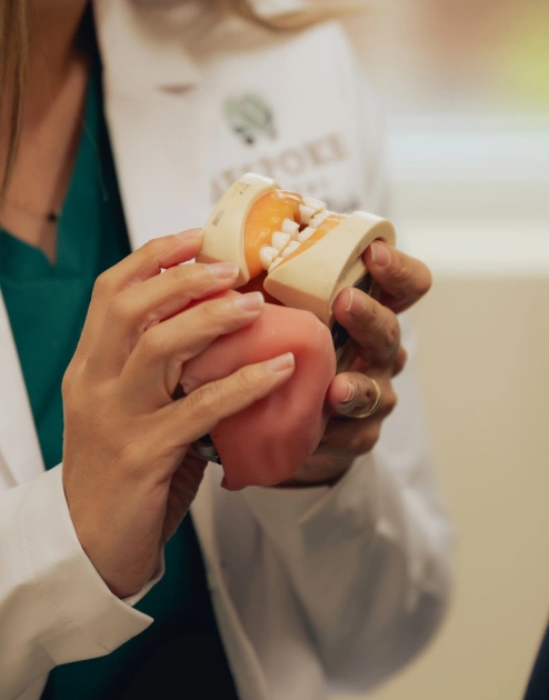 Dentist demonstrating safe tooth extraction procedure with anatomical model to patient.