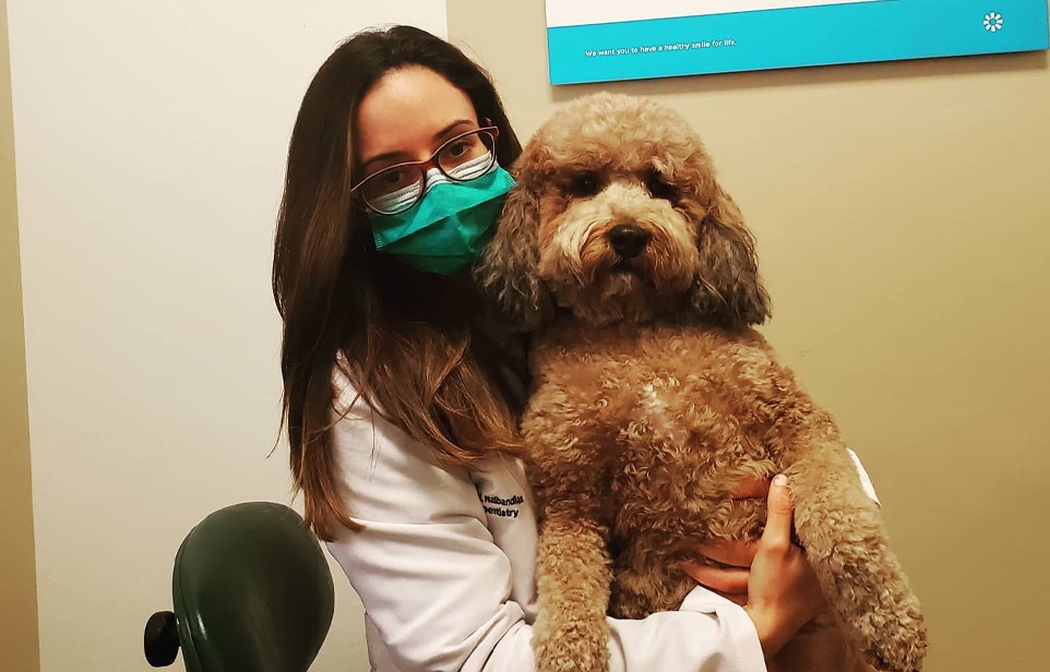 Dental professional holding friendly dog in treatment room at Burbank dental practice.