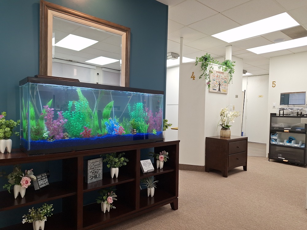 aquarium on table and corridor