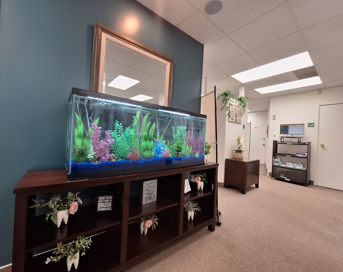 interior view 2 of camarillo premier dental, Dental office in Camarillo