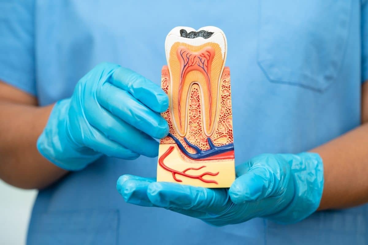 dental implants module on dentist palm