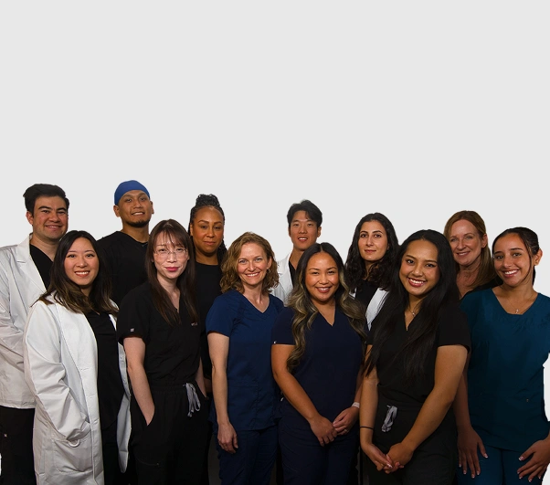 Meet the team