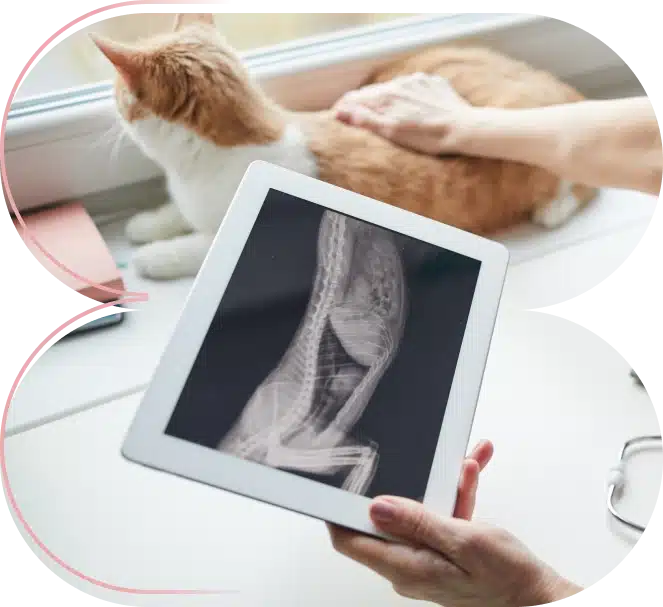 Radiología Veterinaria