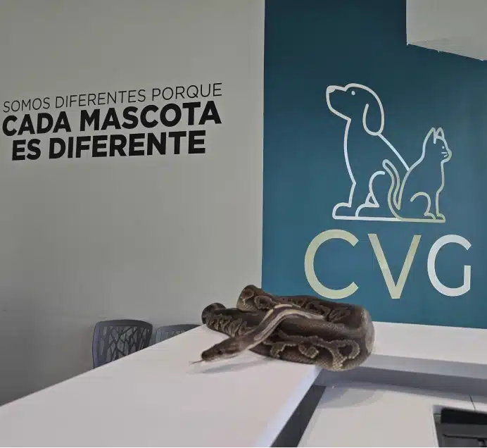 Bienvenidos a Clinica Veterinaria Guaynabo
