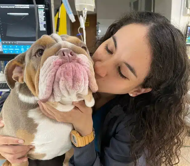 Cuidado Preventivo Veterinario