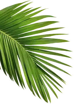 Green Leaf