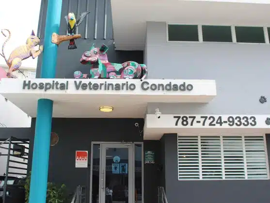 Main entrance of Hospital Veterinario Condado