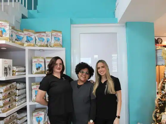 Veterinary team at the reception area of Condado Veterinary Hospital