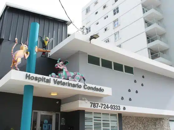 Exterior facade of Hospital Veterinario Condado