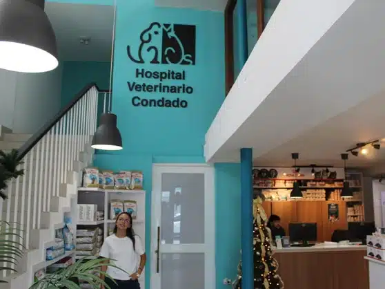 Interior lobby of Condado Veterinary Hospital