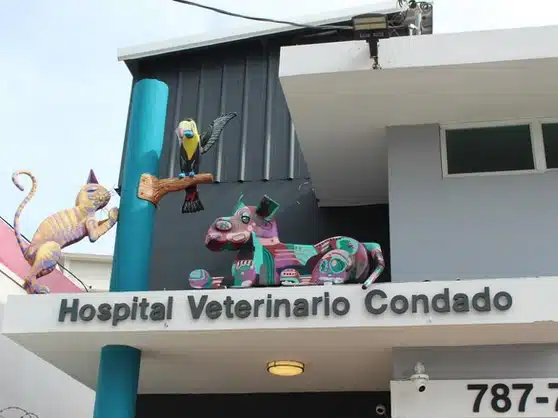 Hospital Veterinario Condado building sign with colorful animal sculptures