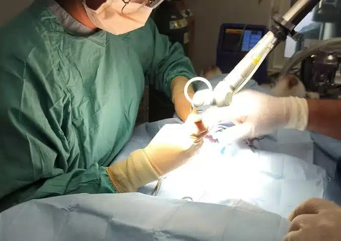 Veterinary team performing laser-assisted surgery on a patient