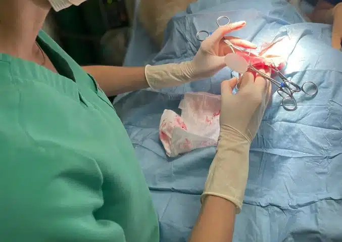 Veterinary surgical team performing a procedure