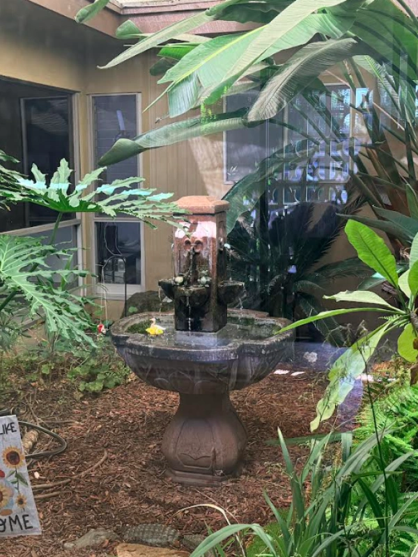 Garden fountain with outdoor landscaping and decorative greenery
