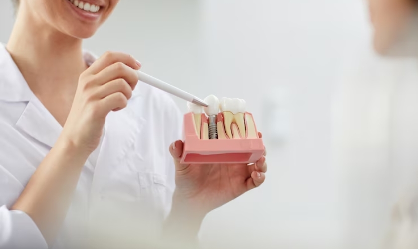 Dental professional holding a pink dental model with teeth