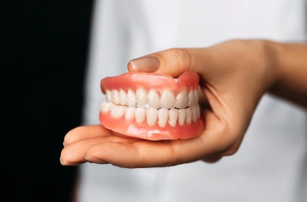 Hands holding a pink dental model showing upper and lower teeth