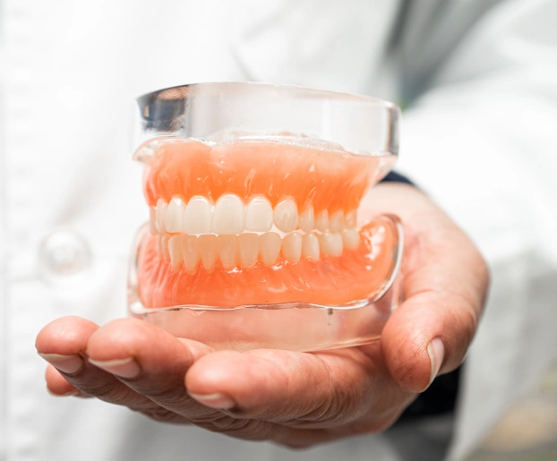 Dental professional holding a full set of upper and lower dentures in both hands