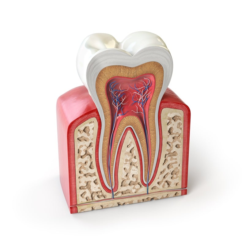Keep Your Teeth Clean