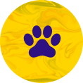 img-paw-paw