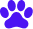 img-paw
