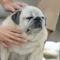 img-servicios-Hospedaje-Temporero