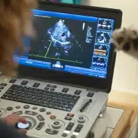 img-servicios-Imágenes-de-Ultrasonido