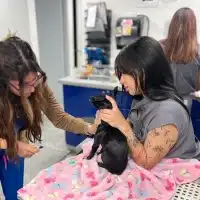 img-servicios-Laboratorio