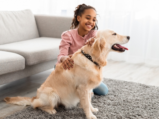 como-el-cuidado-preventivo-ayuda-a-las-mascotas-a-vivir-mas-y-mejor