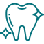 tooth