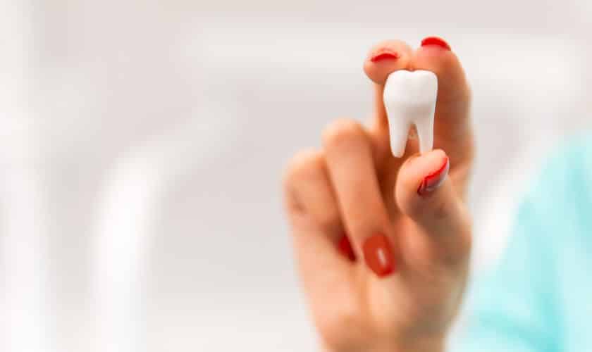 Wisdom Teeth The Molars That Think
