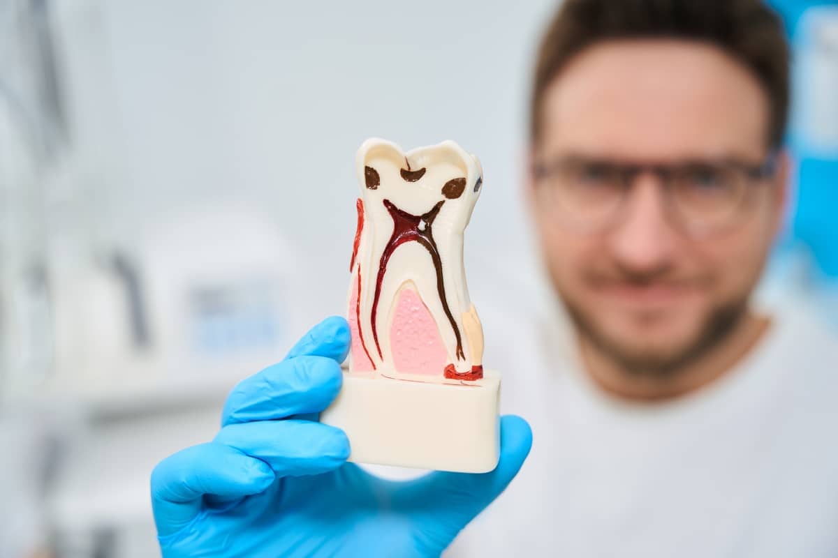 Non Surgical Root Canal Lakeview and Roscoe Village