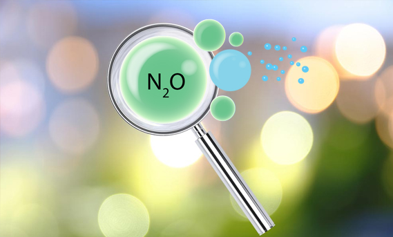 Nitrous Oxide