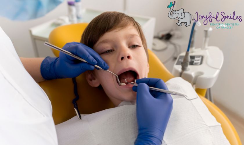 Interceptive Orthodontics: Giving Your Child A Head Start On A Healthy Smile
