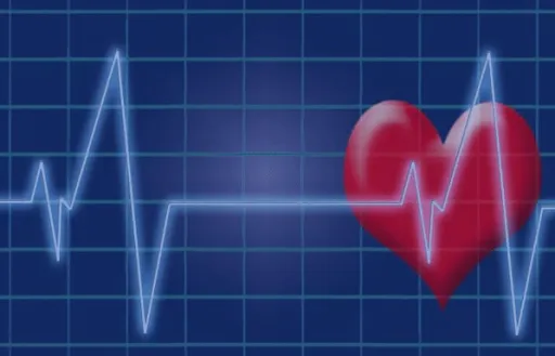 Health Link: Oral Hygiene and Heart Disease | Dentist in 77479