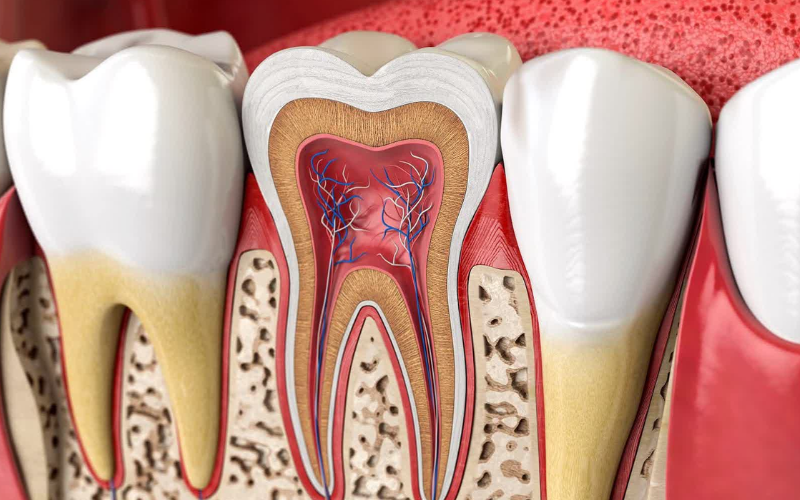 Emergency Root Canals: What To Do When Tooth Pain Strikes Suddenly?