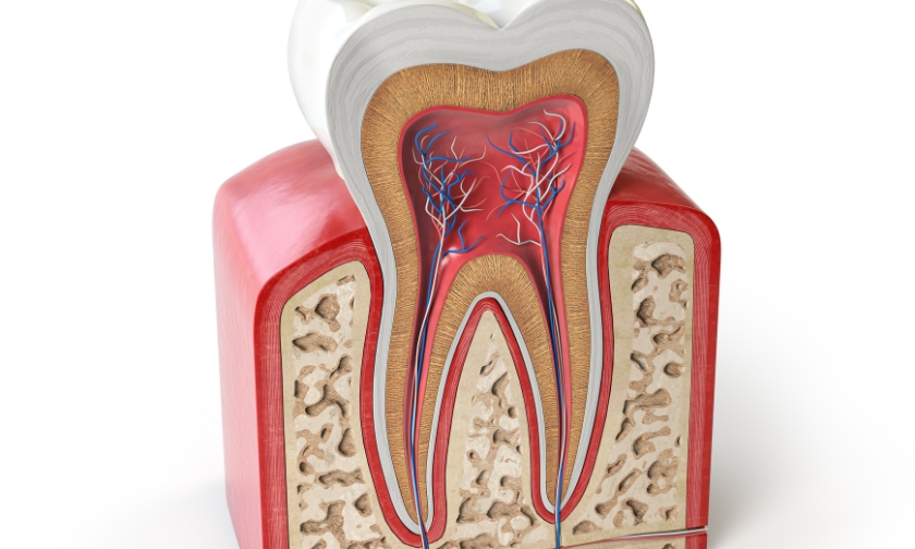Can I Go Back to Work After a Root Canal? A Practical Recovery Timeline