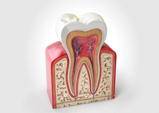 root canal treatment in franklin ave, brooklyn