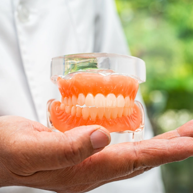 Dentist holding dental implant model during patient consultation