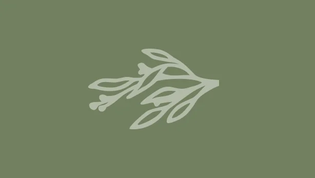 Carry Apothecary – Rooted in Our Community