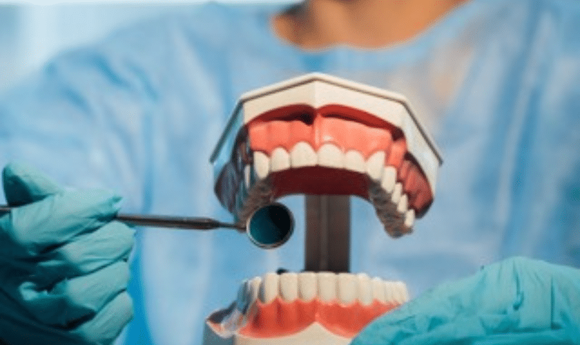 A Charlottesville dentist displaying dentures to a patient at Rugby Dental Arts