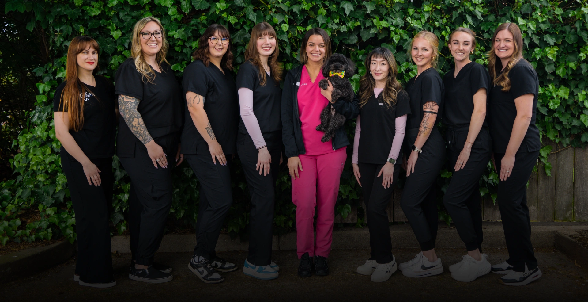 West Albany Dental Banner