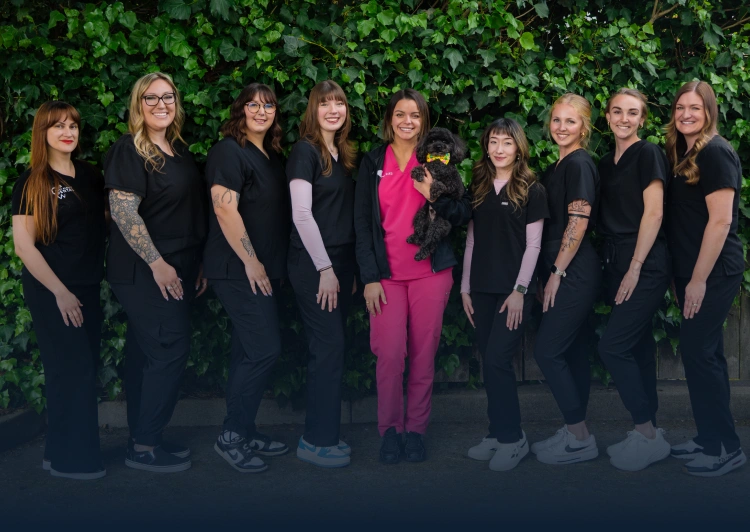 West Albany Dental Banner